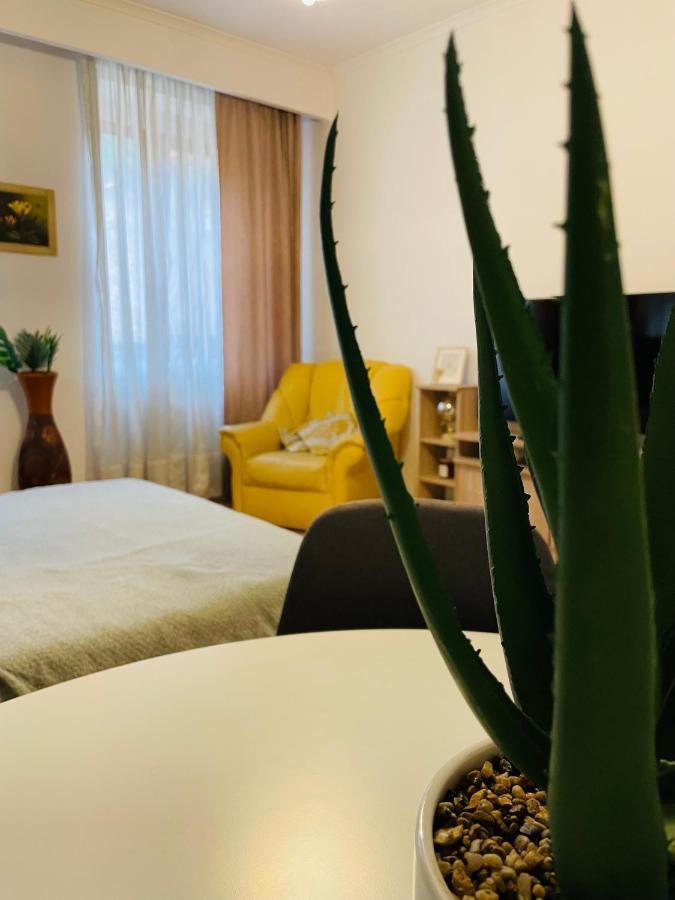 Postavarului Apartment ブラショフ エクステリア 写真